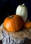 Portrait of pumpkins and squash on a burlap covered wooded stump.