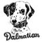 Portrait of a puppy. Dalmatian lettering