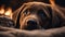 portrait of a puppy A gentle Labrador puppy with soft, expressive eyes, lying on a cozy blanket by a crackling campfire,