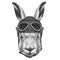 Portrait of Rabbit with Helmet.