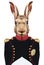 Portrait of Rabbit in military uniform.