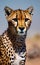 portrait of a realistic cheetah in nature 2