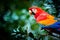 Portrait of red Ara macao, Scarlet Macaw, large colorful parrot, isolated on dark green blurred rainforest background.