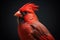 Portrait of a red cardinal bird. Generative AI