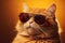 Portrait of a red cat in sunglasses on a yellow background, Closeup portrait of a funny ginger cat wearing sunglasses, AI