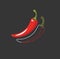 Portrait of red hot chilly peppers over dark background vector or color illustration