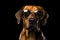 Portrait Rhodesian Ridgeback Dog With Sunglasses Black Background