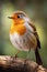 Portrait of a Robin: The Quintessential Garden Songbird in Crisp Detail - Generative AI