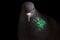 Portrait rock pigeon with colored neck on a black background