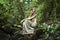 Portrait of romantic woman in fairy forest