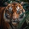 Portrait of a Royal Bengal Tiger (Panthera tigris altaica)