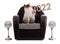 Portrait of sacred young cat of Burma with 2022 in a brown armchair