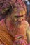 Portrait of a Sadhu baba with colourful Face at Nandgaon Temple during Holi Festival,Uttarpradesh,India