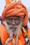 Portrait of a Sadhu or holy man during Dnyaneshwar Maharaj palkhi sohala, Pune