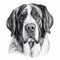 Portrait of saint bernard, black and white t-shirt design with friendly dog, graphic drawing. Generative AI