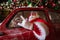 Portrait of santa claus driving a car loaded with a Christmas tree and gifts