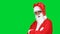 Portrait Santa Claus standing making wink looking at the camera. Isolated on green background.
