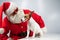 Portrait of santa claus in sunglasses and dog jack russell terrier in rudolf reindeer ears on a white background.