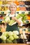 Portrait of satisfied female supermarket employee with fruit in hands in sales floor