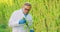 Portrait of scientist checking and analizing hemp plants Concept of herbal alternative medicine,cbd oil, pharmaceutical