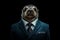 Portrait of a Sealion dressed in a formal business suit