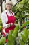 Portrait of a senior female gardener spraying pesticide on plants in botanical garden