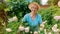 Portrait of a senior gardener lady  with glasses and a hat for a magazine about gardening and landscape design. Beautiful elderly