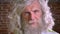 Portrait of senior man looking close-up at camera with long awesome beard and white hair, brick background, standing