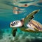 A portrait of a serene sea turtle swimming calmly in the ocean2