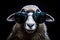 Portrait Sheep With Sunglasses Black Background