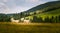 Portrait of a shepherd dog in a Carpathian landscape