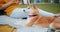 Portrait of shiba inu dog lying on blanket on grass in the park next to owner