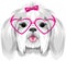 Portrait of Shih Tzu in pink eyeglasses