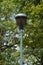 A portrait shot of a big, thick, bird`s nest, overtaking a tall outdoor light, in a lush green, Thai park.