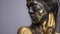 Portrait shot, model in black and gold body art corrects hair and looks at the camera, slow motion