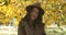 Portrait of shy European girl in hat standing on the background of yellow leaves and smiling. Charming Caucasian woman