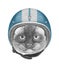 Portrait of Siamese Cat with Helmet.