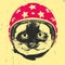 Portrait of Siamese Cat with Helmet.