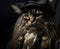 Portrait of Siberian Cat in Pirate Costume - AI generated