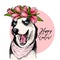 Portrait of siberian husky dog wearing tulip crown and bandana. Welcome spring. Hand drawn colored vector illustration