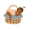Portrait sleeping newborn baby in wicker basket