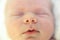 Portrait of a sleeping newborn`s nose very close-up