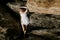 Portrait of slender young woman on stones near the sea