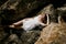 Portrait of slender young woman on stones near the sea