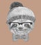 Portrait Sloth with glasses, hat and bow tie.