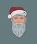 Portrait of a Sly Smiling Gray-Bearded Man in a Santa Claus Hat