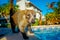 Portrait of a of small mammals walking around of a swimming pool located inside of a hotel in PLaya del Carmen at