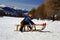 Portrait of small smiling boy sitting on sled on snowy slope on background of sunny mountains Alps and blue sky