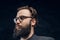 Portrait of a smart bearded man in glasses in a dark studio