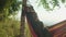 Portrait of smiling charming african american woman traveler relaxing in hammock in mountains at dawn